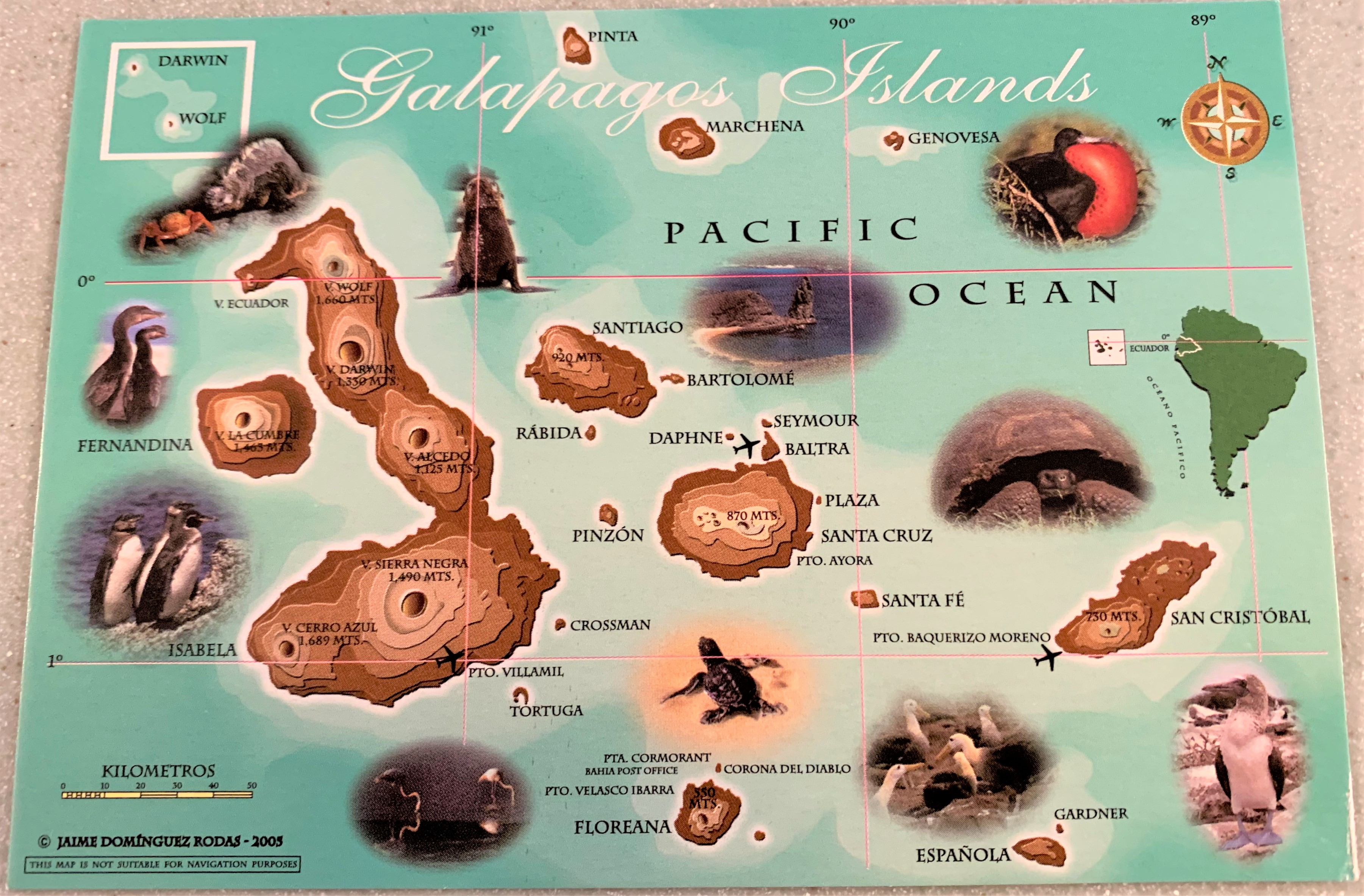 The Galapagos Islands