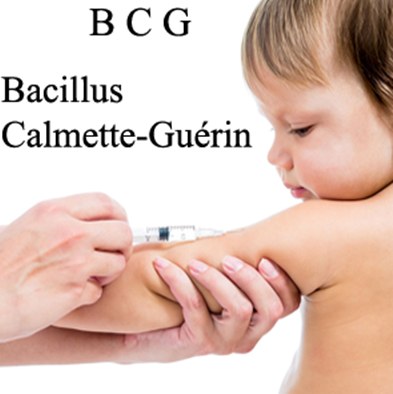 BCG vaccine-2