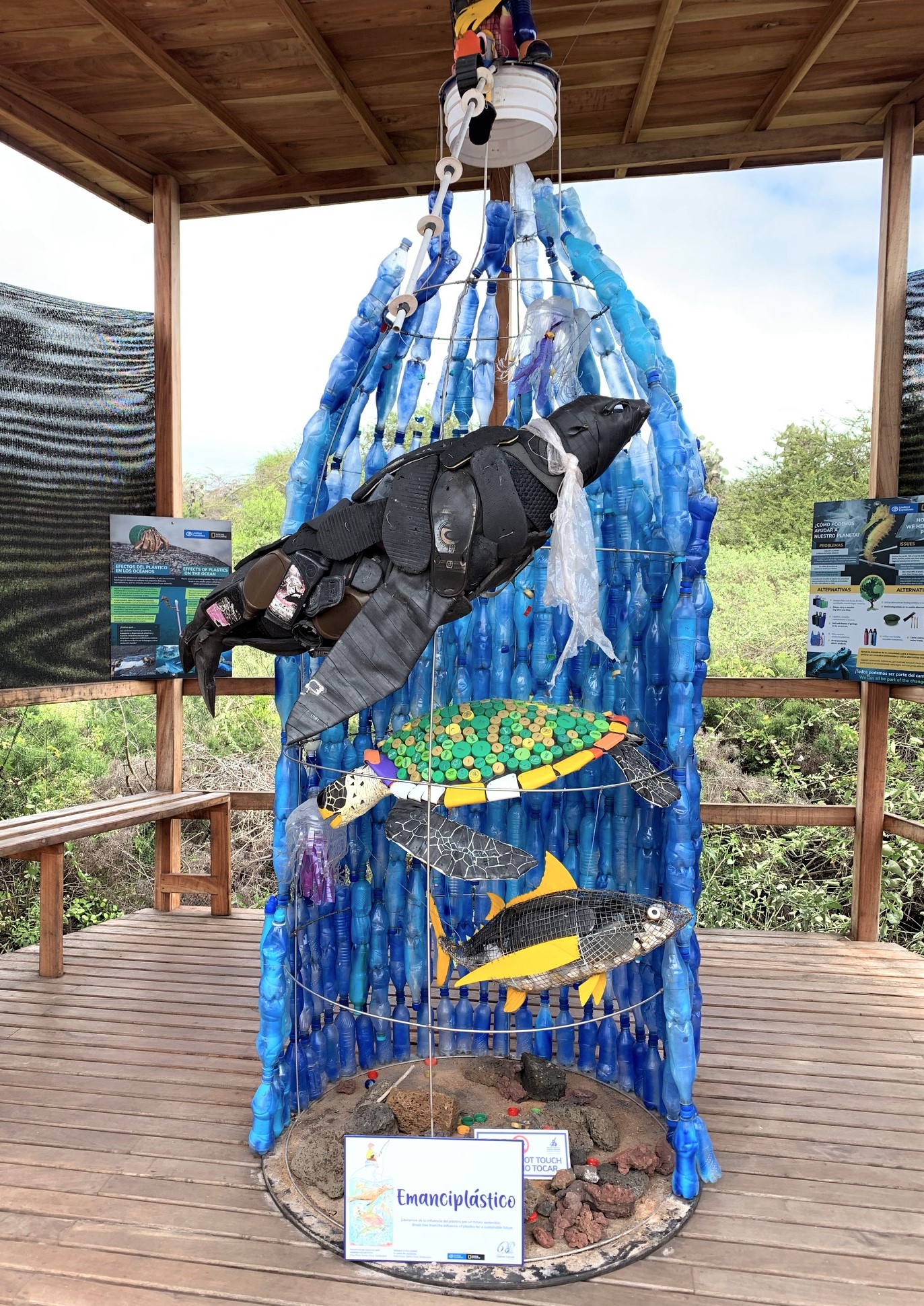 Picture taken by author at the Charles Darwin Foundation, Galapagos, Ecuador, November 2019.