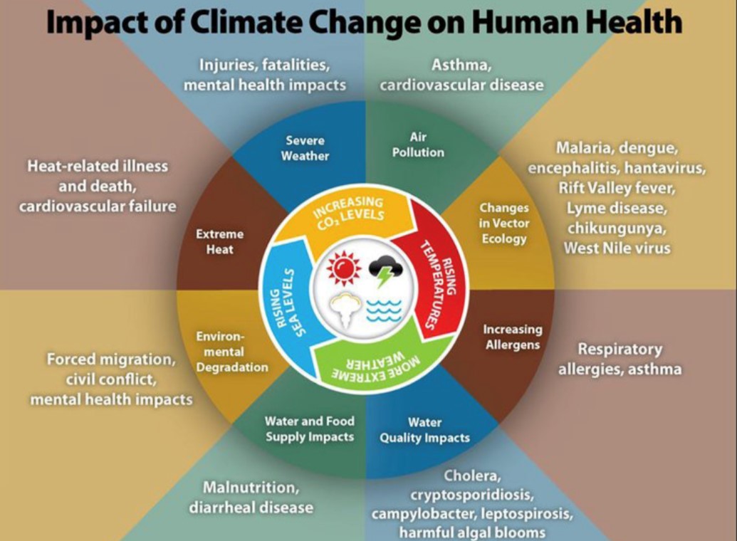 Impact of Climate Change on Health