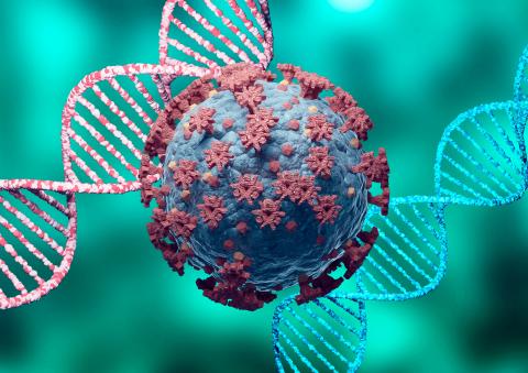 COVID-19 virus variants